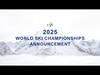 Чемпионат мира 2025 года. 